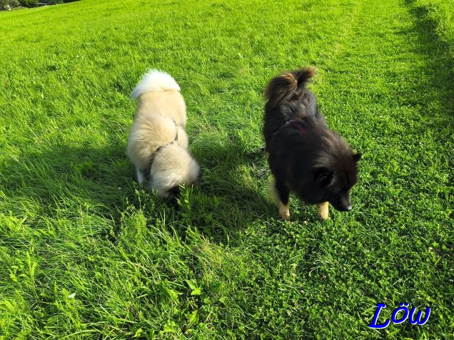 3.8.2025 - Duftaufnahme